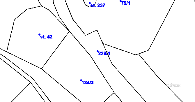 Parcela st. 229/1 v KÚ Janské Lázně, Katastrální mapa