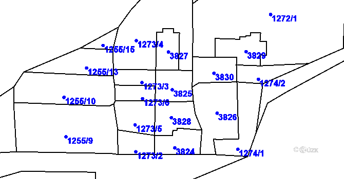 Parcela st. 3825 v KÚ Jezbiny, Katastrální mapa