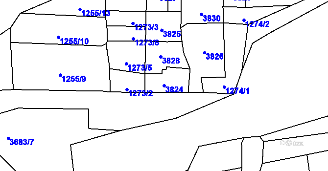 Parcela st. 3824 v KÚ Jezbiny, Katastrální mapa