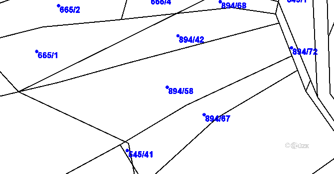 Parcela st. 894/58 v KÚ Jarov, Katastrální mapa