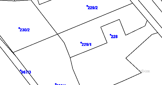 Parcela st. 229/1 v KÚ Jasenná, Katastrální mapa