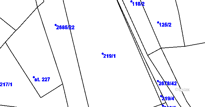 Parcela st. 219/1 v KÚ Javornice, Katastrální mapa