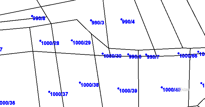 Parcela st. 1000/30 v KÚ Javorník u Vlašimi, Katastrální mapa