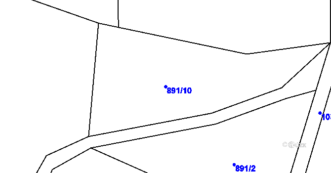 Parcela st. 891/10 v KÚ Javorník u Svitav, Katastrální mapa