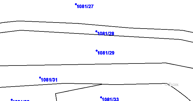 Parcela st. 1081/29 v KÚ Javorník u Svitav, Katastrální mapa