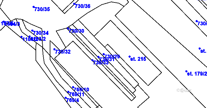 Parcela st. 730/29 v KÚ Javorník u Vysokého Mýta, Katastrální mapa