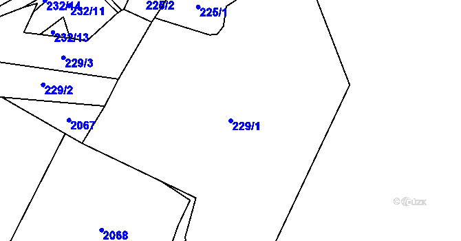 Parcela st. 229/1 v KÚ Javůrek, Katastrální mapa
