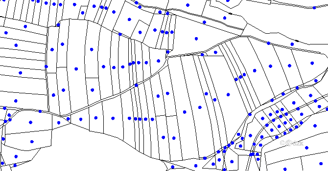 Parcela st. 1000 v KÚ Jeníkov u Vlašimi, Katastrální mapa