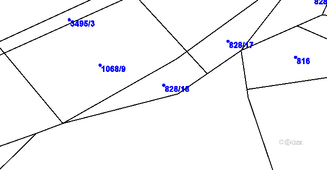 Parcela st. 828/18 v KÚ Jeníkov u Vlašimi, Katastrální mapa