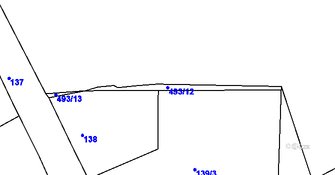 Parcela st. 493/12 v KÚ Hory u Jenišova, Katastrální mapa