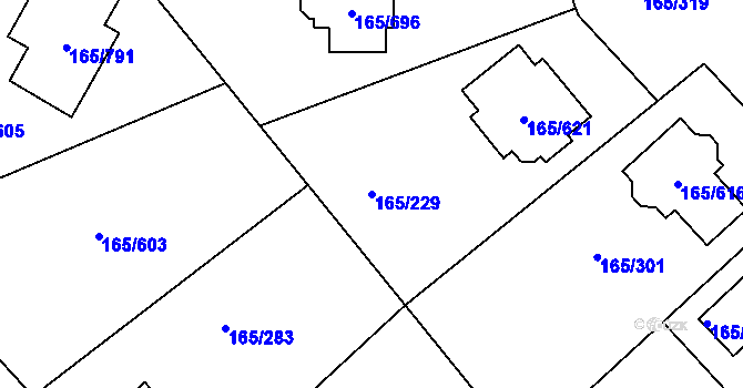 Parcela st. 165/229 v KÚ Jenišov, Katastrální mapa