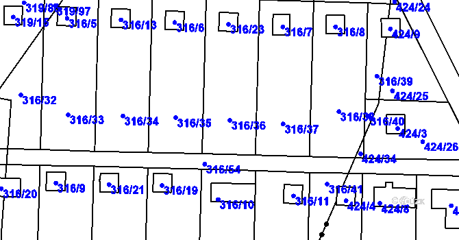 Parcela st. 316/36 v KÚ Jenišov, Katastrální mapa