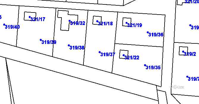 Parcela st. 319/37 v KÚ Jenišov, Katastrální mapa