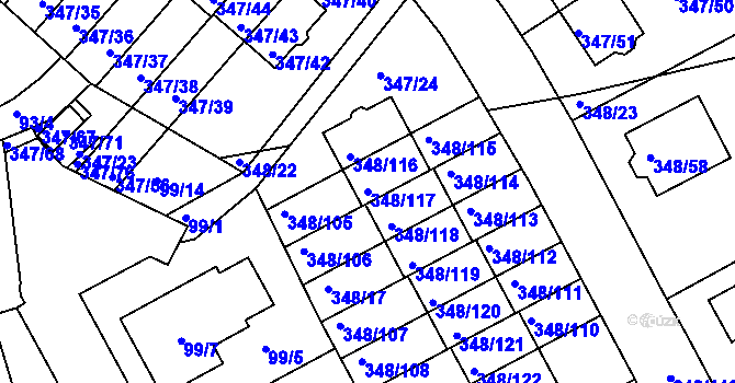 Parcela st. 348/117 v KÚ Jenišov, Katastrální mapa