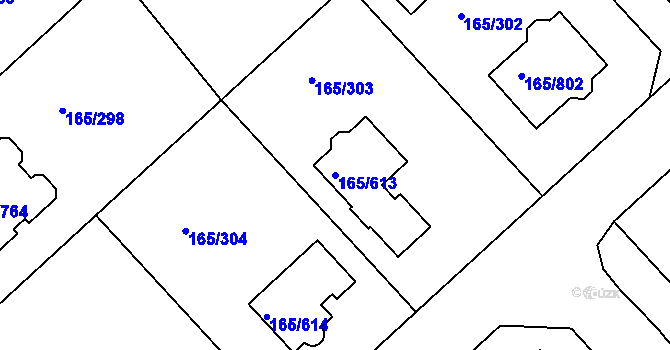 Parcela st. 165/613 v KÚ Jenišov, Katastrální mapa