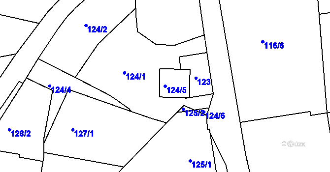 Parcela st. 124/5 v KÚ Jenišov, Katastrální mapa