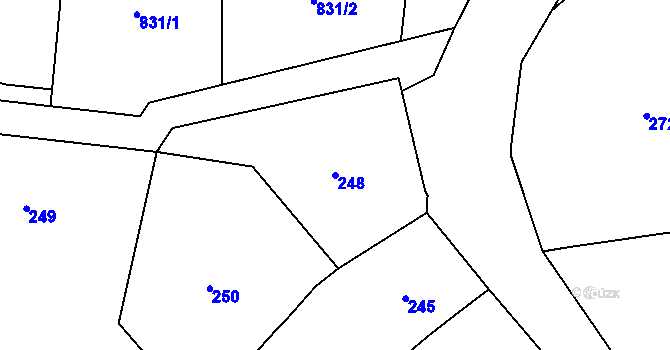 Parcela st. 248 v KÚ Jenišov, Katastrální mapa