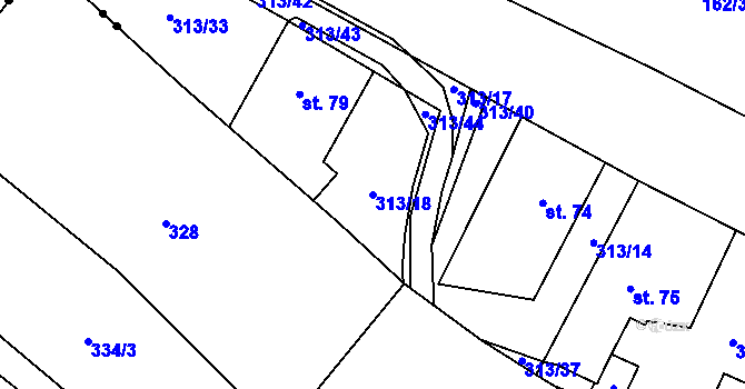 Parcela st. 313/18 v KÚ Jestřebí u Zábřeha, Katastrální mapa
