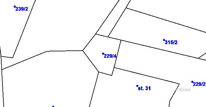 Parcela st. 229/4 v KÚ Ješetice, Katastrální mapa