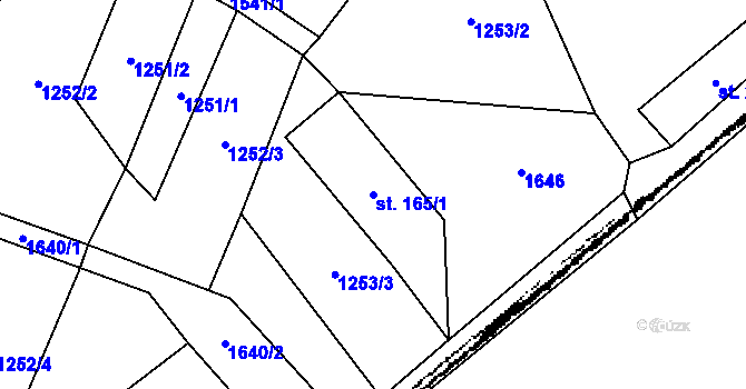 Parcela st. 165/1 v KÚ Jetřichov, Katastrální mapa