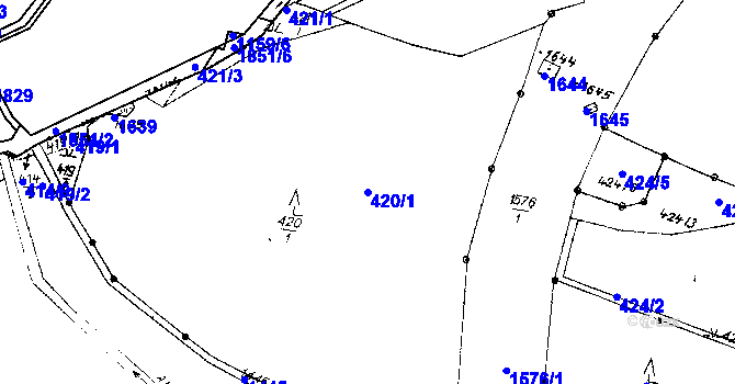 Parcela st. 420/1 v KÚ Jetřichov, Katastrální mapa