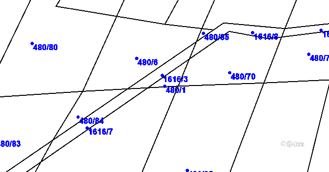 Parcela st. 480/1 v KÚ Jetřichovec, Katastrální mapa