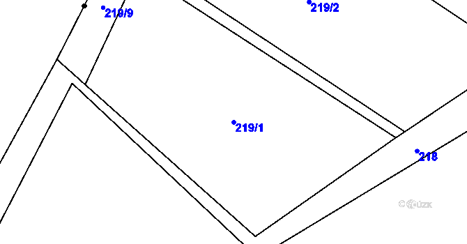 Parcela st. 219/1 v KÚ Sušetice, Katastrální mapa
