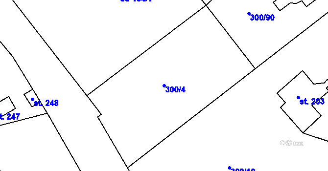 Parcela st. 300/4 v KÚ Jevany, Katastrální mapa