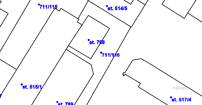 Parcela st. 711/116 v KÚ Jevišovice, Katastrální mapa