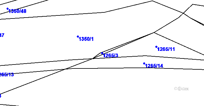 Parcela st. 1265/3 v KÚ Jevišovice, Katastrální mapa