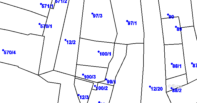 Parcela st. 100/1 v KÚ Jevišovka, Katastrální mapa