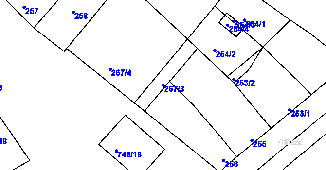 Parcela st. 267/3 v KÚ Jevišovka, Katastrální mapa