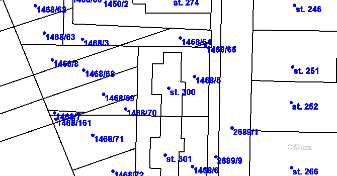 Parcela st. 300 v KÚ Jezernice, Katastrální mapa