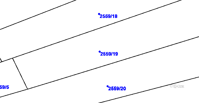 Parcela st. 2559/19 v KÚ Jezernice, Katastrální mapa