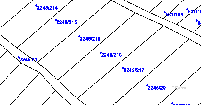 Parcela st. 2245/218 v KÚ Jezeřany, Katastrální mapa