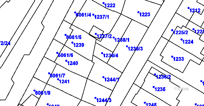 Parcela st. 1238/4 v KÚ Jihlava, Katastrální mapa