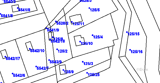 Parcela st. 125/10 v KÚ Sasov, Katastrální mapa