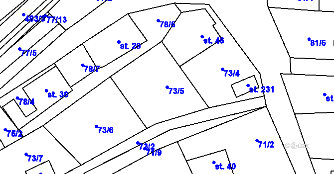 Parcela st. 73/5 v KÚ Borek nad Sázavou, Katastrální mapa