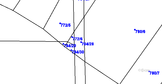 Parcela st. 784/28 v KÚ Jílovice u Trhových Svinů, Katastrální mapa