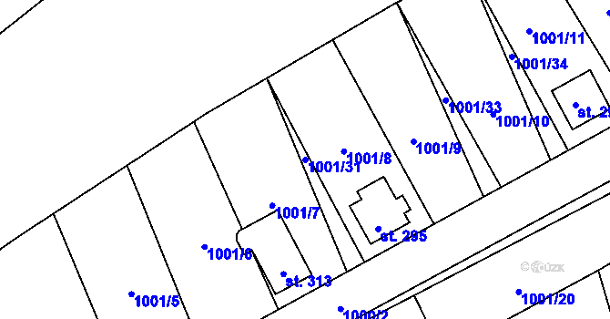 Parcela st. 1001/31 v KÚ Jílovice u Trhových Svinů, Katastrální mapa