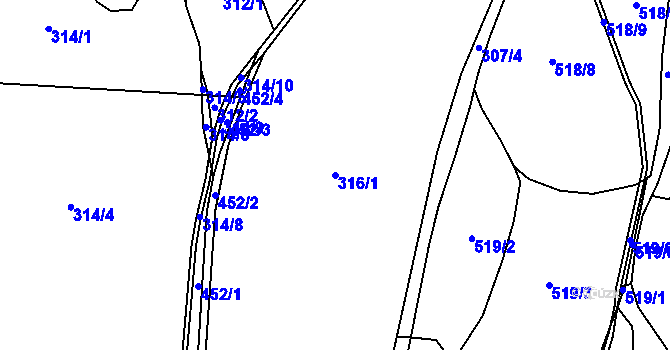 Parcela st. 316/1 v KÚ Pleče, Katastrální mapa