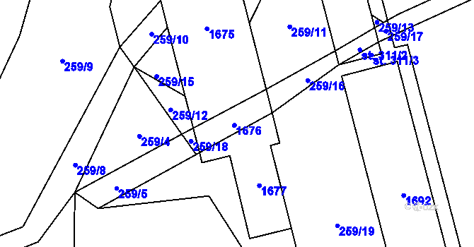 Parcela st. 313/4 v KÚ Pusté Žibřidovice, Katastrální mapa