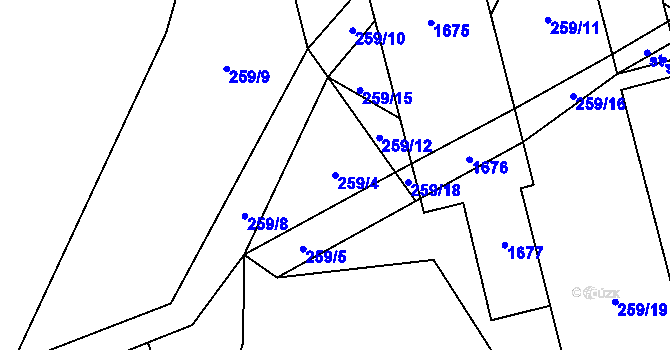 Parcela st. 259/4 v KÚ Pusté Žibřidovice, Katastrální mapa