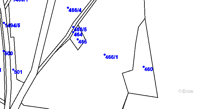 Parcela st. 466/1 v KÚ Pusté Žibřidovice, Katastrální mapa