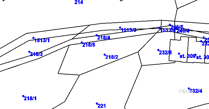 Parcela st. 218/2 v KÚ Pusté Žibřidovice, Katastrální mapa