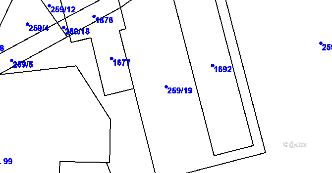 Parcela st. 259/19 v KÚ Pusté Žibřidovice, Katastrální mapa