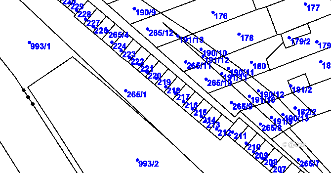 Parcela st. 218 v KÚ Březenec, Katastrální mapa