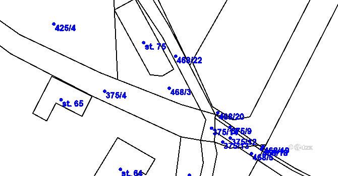 Parcela st. 468/3 v KÚ Dolní Borek, Katastrální mapa