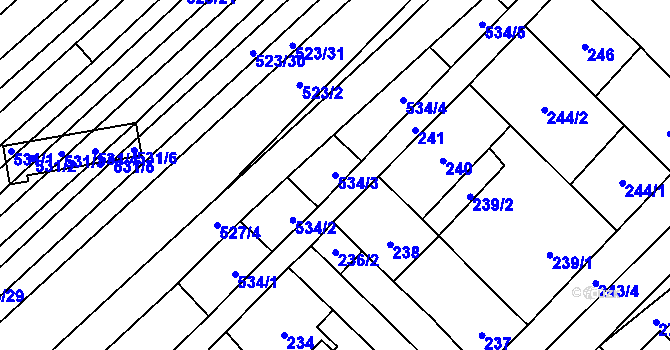 Parcela st. 534/3 v KÚ Jiříkovice, Katastrální mapa