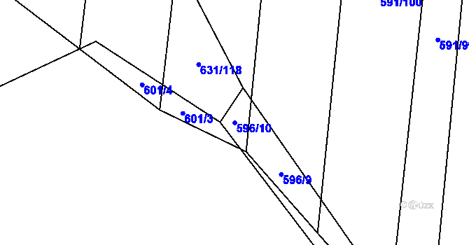 Parcela st. 596/10 v KÚ Jiříkovice, Katastrální mapa
